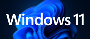The Man from the Window for Windows 11